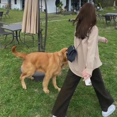 修女有枪
