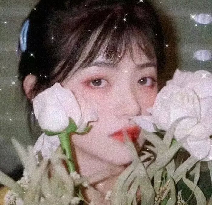 龙族
